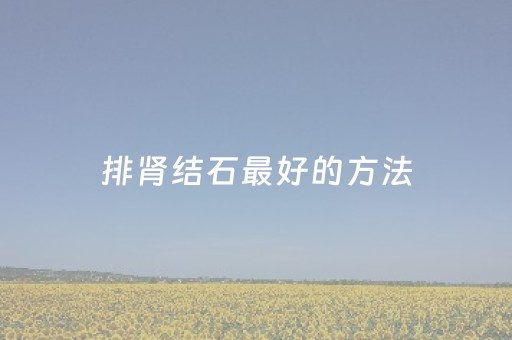 排肾结石最好的方法（排肾结石最好的方法09）