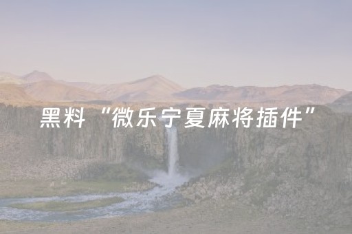黑料“微乐宁夏麻将插件”（软挂神器)