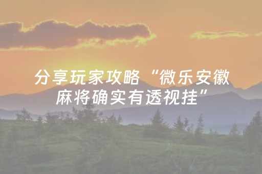 分享玩家攻略“微乐安徽麻将确实有透视挂”（专用神器)