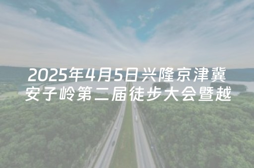 玩家必备教程“17麻将大菠萝胜率规律（助赢神器通用版）