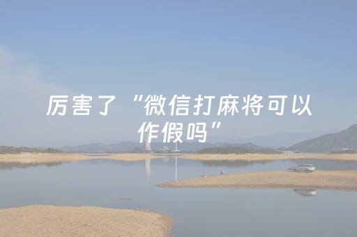 实测分析“微乐二七王有外挂吗”（详细开挂教程）-哔哩哔哩