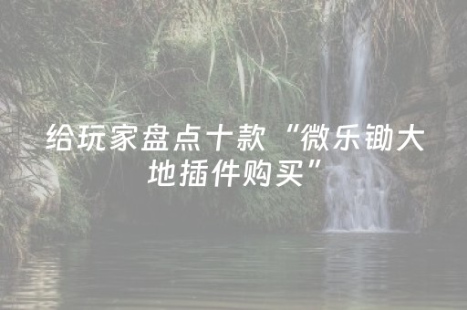 给玩家盘点十款“微乐锄大地插件购买”（免费专用神器)