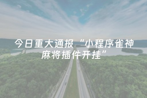 今日重大通报“小程序雀神麻将插件开挂”（怎么能调好牌)