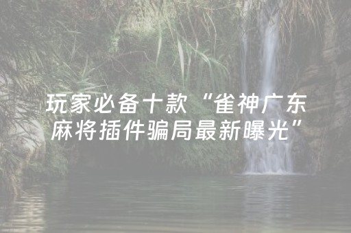 玩家必备十款“雀神广东麻将插件骗局最新曝光”（小程序控牌器)