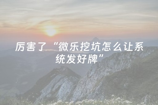 厉害了“微乐挖坑怎么让系统发好牌”（辅助器下载)