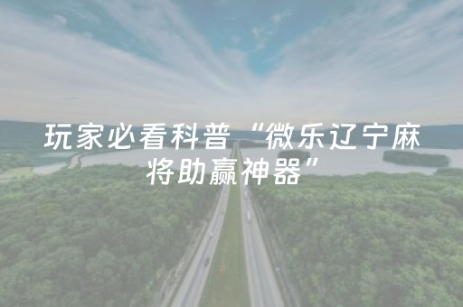 玩家实测“微乐插件胜率设置（助赢神器通用版）