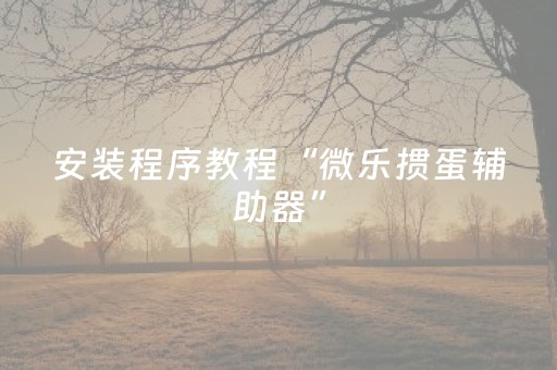 安装程序教程“微乐掼蛋辅助器”（会员会提高胜率吗)