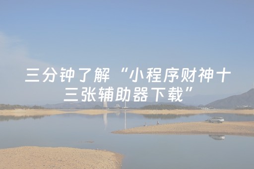 终于发现了“开心十三张有辅助软件吗（专用辅牌神器免安装）