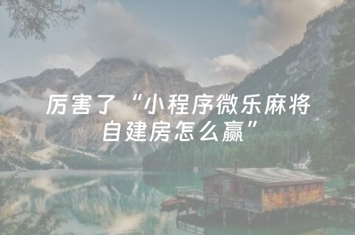 厉害了“小程序微乐麻将自建房怎么赢”（万能开挂神器)