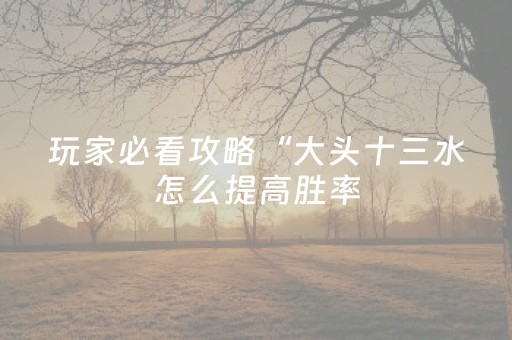 玩家必看攻略“大头十三水怎么提高胜率（助赢神器通用版）
