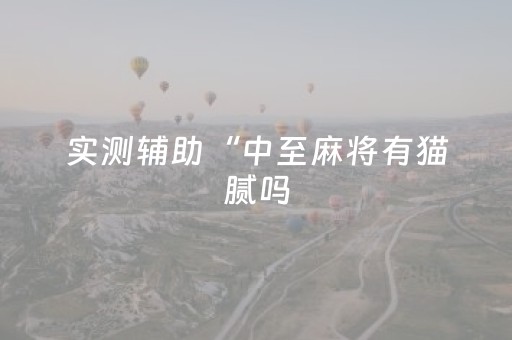 实测辅助“中至麻将有猫腻吗（专用辅牌神器免安装）