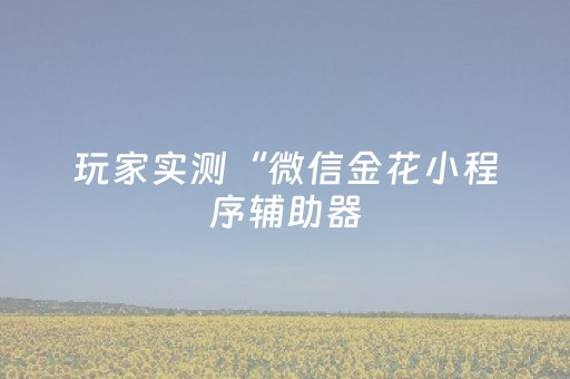玩家实测“微信金花小程序辅助器（助赢神器通用版）