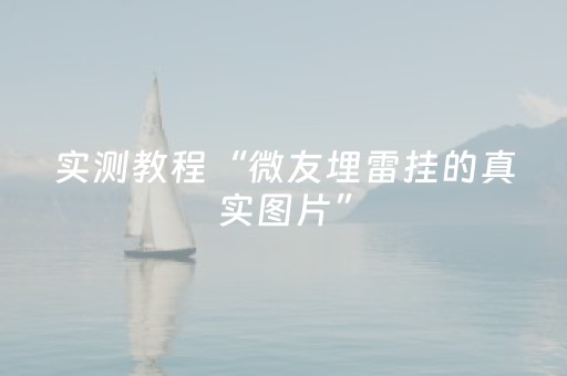实测教程“微友埋雷挂的真实图片”（详细透视教程）-哔哩哔哩