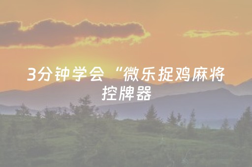 3分钟学会“微乐捉鸡麻将控牌器（专用辅牌神器免安装）