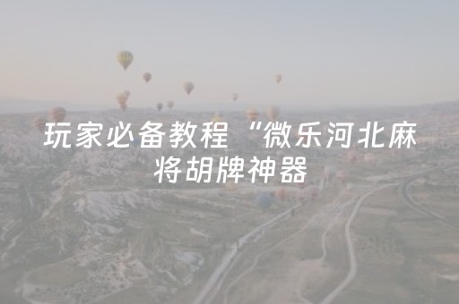 玩家必备教程“微乐河北麻将胡牌神器（助赢神器通用版）