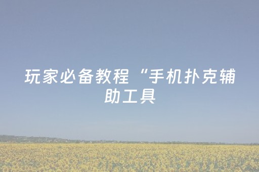 玩家必备教程“手机扑克辅助工具（专用辅牌神器免安装）