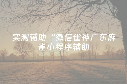 实测辅助“微信雀神广东麻雀小程序辅助（助赢神器通用版）