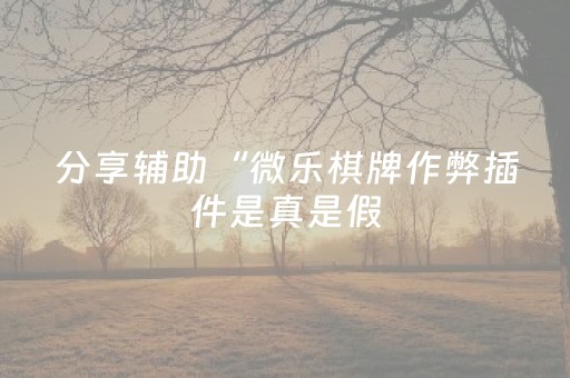 分享辅助“微乐棋牌作弊插件是真是假（专用辅牌神器免安装）