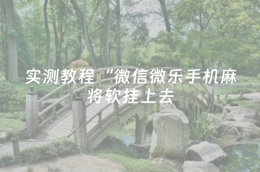 教程辅助“手机微乐麻将挂上去（助赢神器通用版）