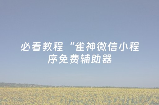 必看教程“雀神微信小程序免费辅助器（助赢神器通用版）