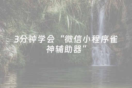 3分钟学会“微信小程序雀神辅助器”（详细透视教程）-哔哩哔哩