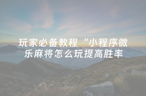 玩家必备教程“小程序微乐麻将怎么玩提高胜率（助赢神器通用版）