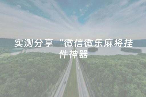 实测分享“微信微乐麻将挂件神器（专用辅牌神器免安装）