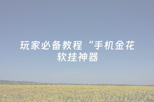 玩家必备教程“手机金花软挂神器（专用辅牌神器免安装）