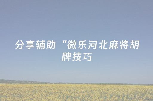 教程辅助“微乐河北麻将胡牌神器（专用辅牌神器免安装）