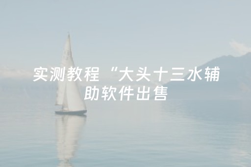 实测教程“大头十三水辅助软件出售（专用辅牌神器免安装）