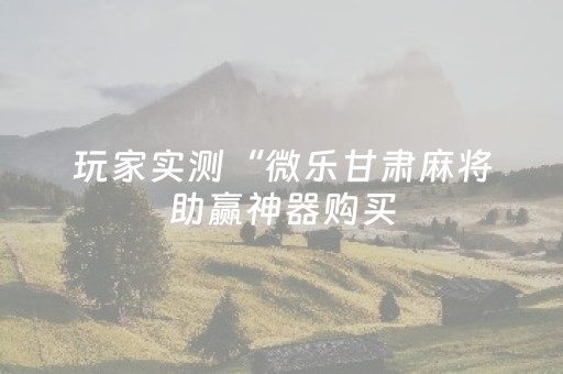 玩家实测“微乐甘肃麻将助赢神器购买（助赢神器通用版）