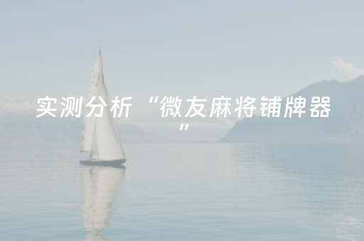 实测分析“微友麻将铺牌器”（详细开挂教程）-哔哩哔哩