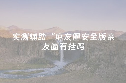 实测辅助“麻友圈安全版亲友圈有挂吗（专用辅牌神器免安装）
