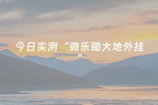 今日实测“微乐锄大地外挂”（详细开挂教程）-哔哩哔哩