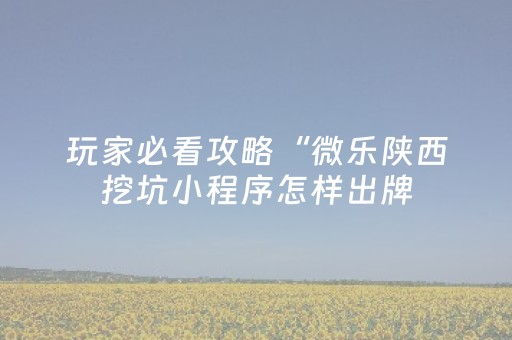 玩家必看攻略“微乐陕西挖坑小程序怎样出牌（助赢神器通用版）