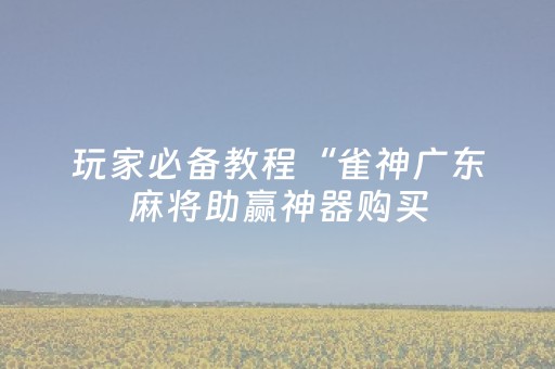 玩家必备教程“雀神广东麻将助赢神器购买（助赢神器通用版）