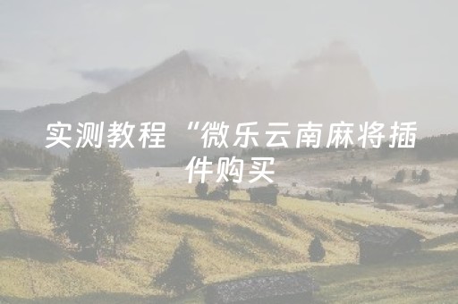 实测教程“微乐云南麻将插件购买（助赢神器通用版）