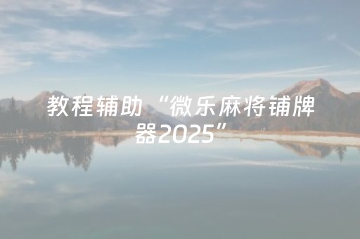 教程辅助“微乐麻将铺牌器2025”（详细透视教程）-哔哩哔哩