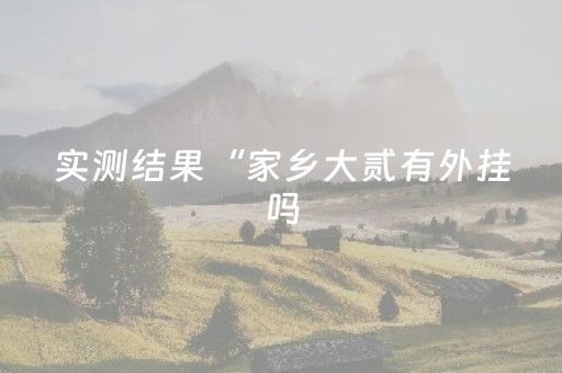 实测结果“家乡大贰有外挂吗（专用辅牌神器免安装）