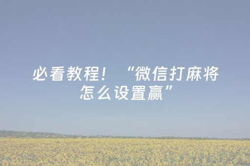 终于发现了“棋牌室麻将机猫腻（专用辅牌神器免安装）