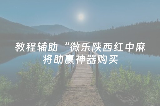 教程辅助“微乐陕西红中麻将助赢神器购买（专用辅牌神器免安装）