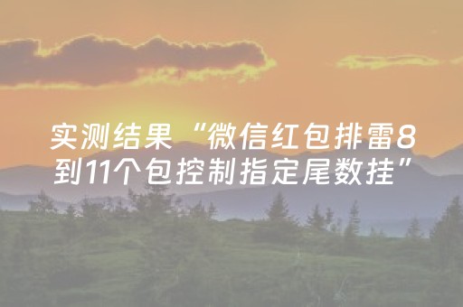 实测结果“微信红包排雷8到11个包控制指定尾数挂”（详细透视教程）-哔哩哔哩