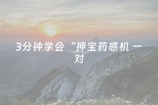 3分钟学会“押宝药感机 一对（助赢神器通用版）