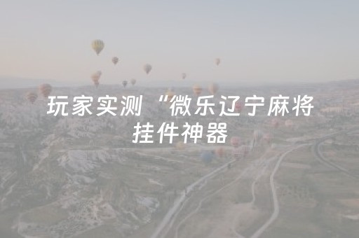 玩家实测“微乐辽宁麻将挂件神器（专用辅牌神器免安装）