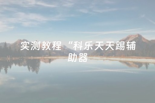 实测辅助“财神十三水万能辅助器（专用辅牌神器免安装）