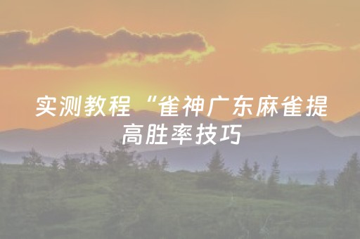 实测分享“陕麻圈到底有没有外挂”（详细辅助教程）-哔哩哔哩