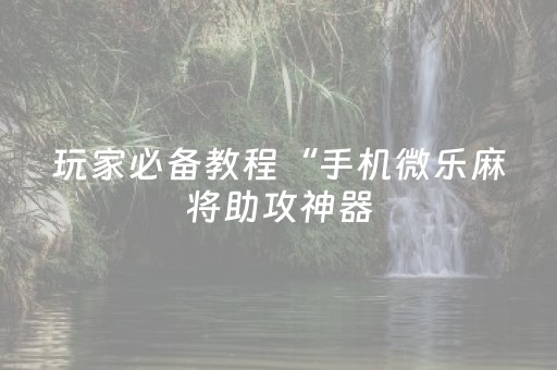 实测教程“微乐河南麻将助赢神器”（详细透视教程）-哔哩哔哩