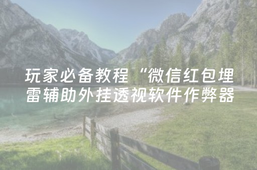 必看教程！“心悦麻将看牌工具”（详细辅助教程）-哔哩哔哩