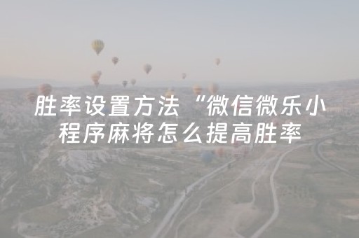 实测分享“麻将程序控牌器免安装（专用辅牌神器免安装）