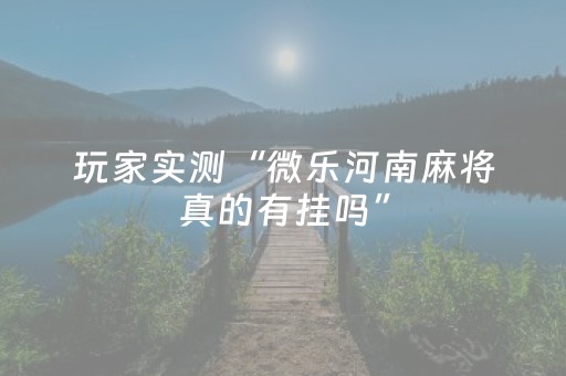 今日盘点“微乐河南麻将赢牌的技巧”（详细透视教程）-哔哩哔哩